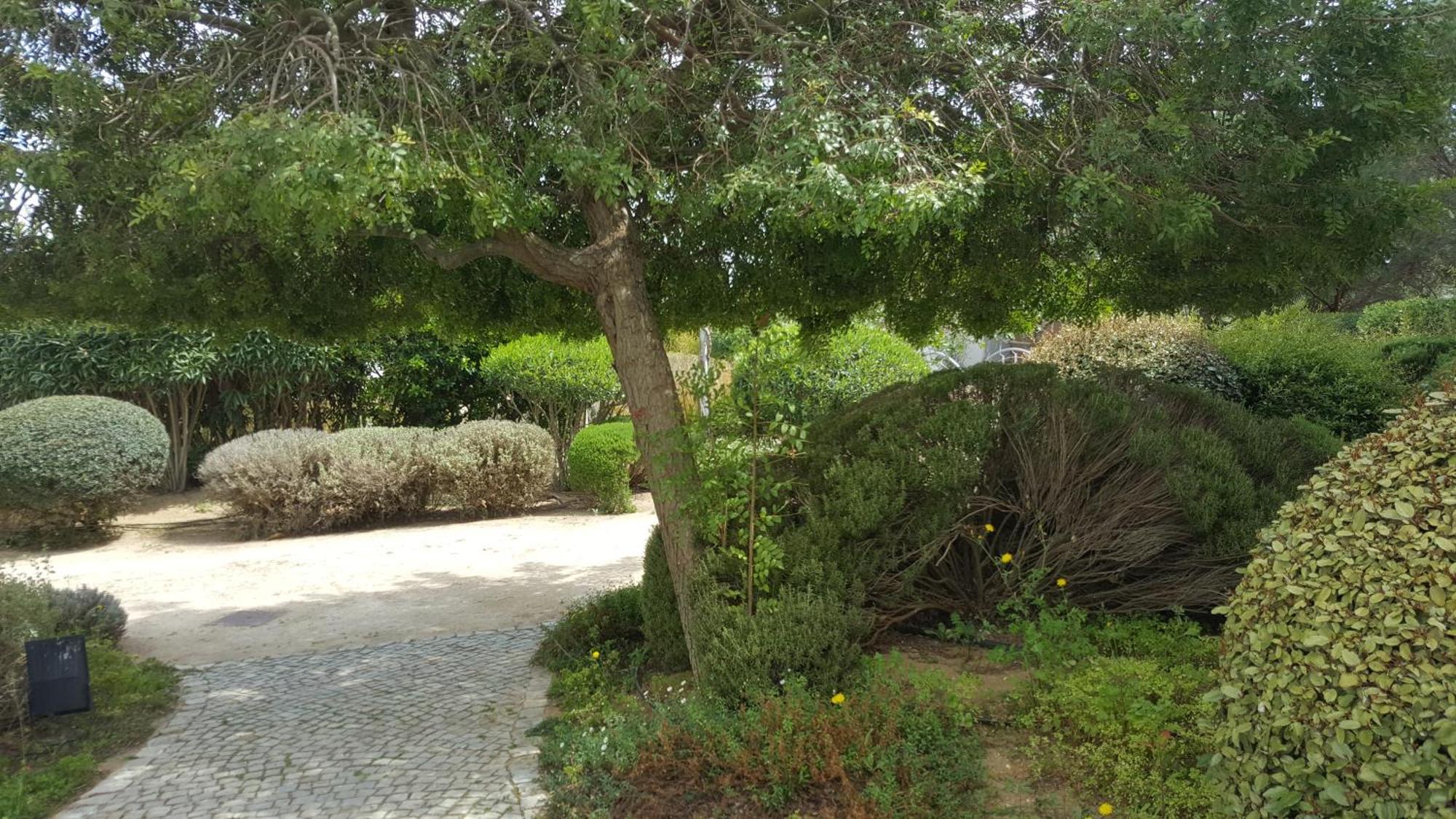 קבאנס דה טאבירה Cabanas Green Apartment & Loft. מראה חיצוני תמונה