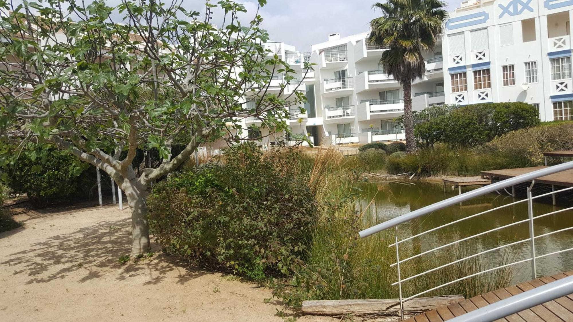 קבאנס דה טאבירה Cabanas Green Apartment & Loft. מראה חיצוני תמונה